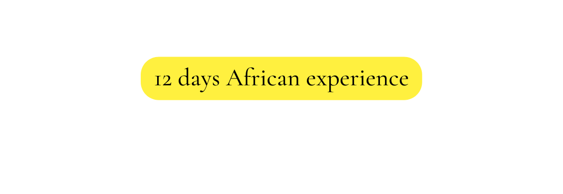 12 days African experience